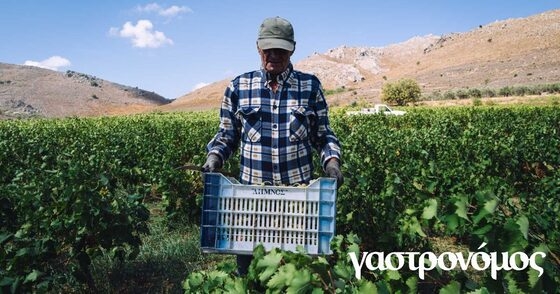 Τα βραβεία θα πραγματοποιηθούν παρουσία της Προέδρου της Δημοκρατίας.